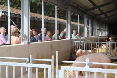 Düsser Schwein & Huhn 2025