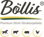 boellis_mit_icons_grau