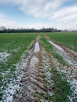 Frostdüngung