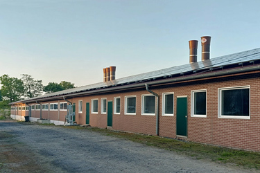 Schweinestall