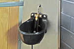 Pferdetränke