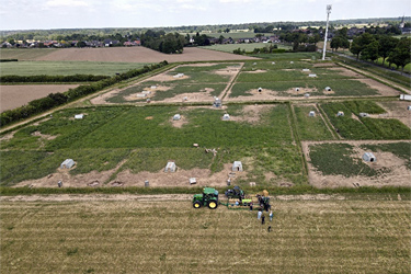 Schweinehaltung, Drohnenaufnahme, Foto: Paul Bird