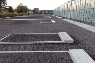 Fotorundgang 11 / 2025 Straelen