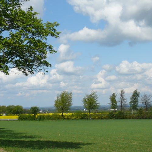 Landschaft