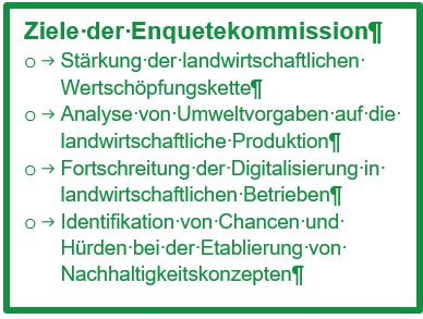 Ziele der Enguetekommission